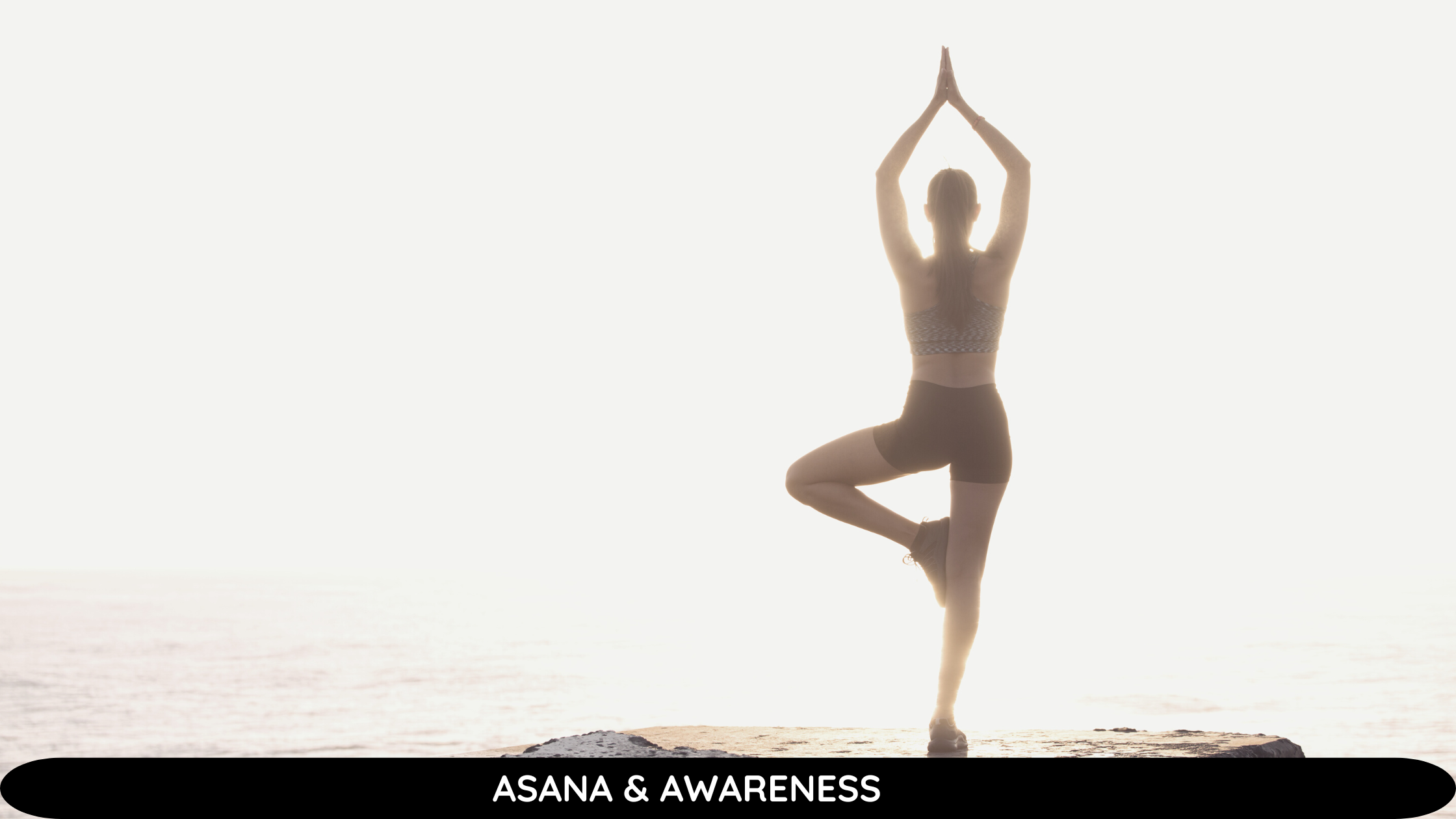 Asana